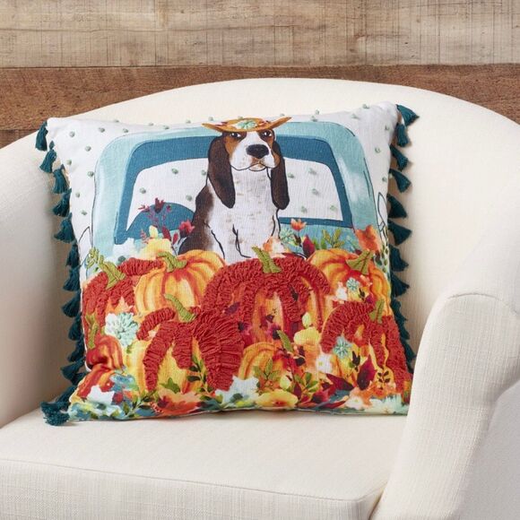 Pioneer Woman Throw Pillowsnull